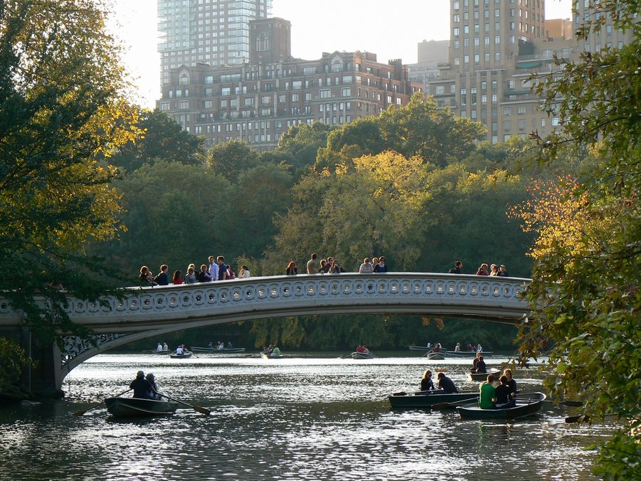 Central Park: Central Park 102